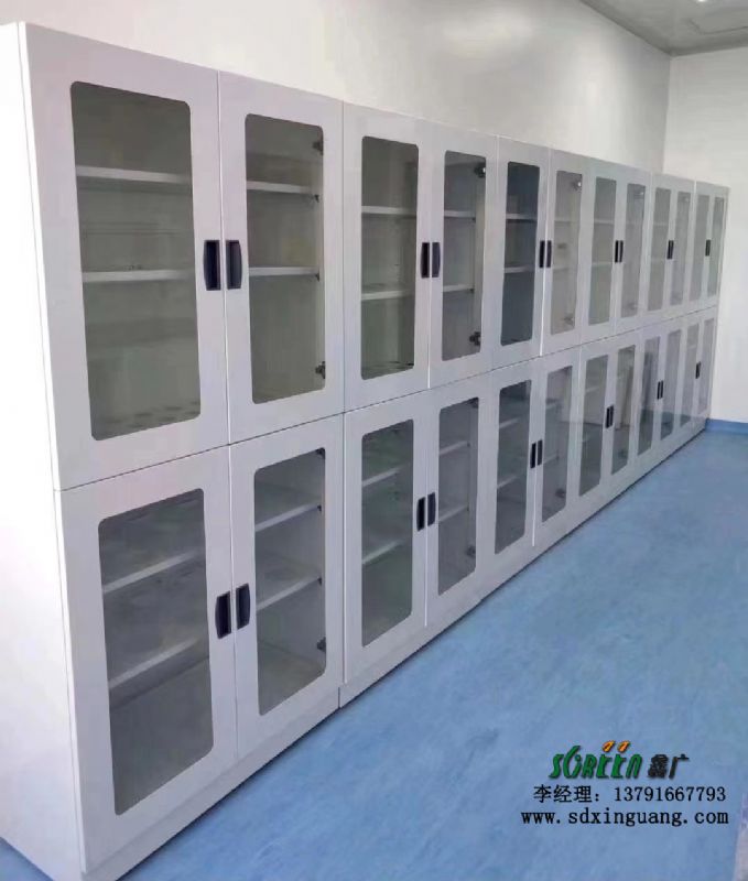 實驗室全鋼試劑柜 耐酸堿實驗室柜 樣品存儲柜供應