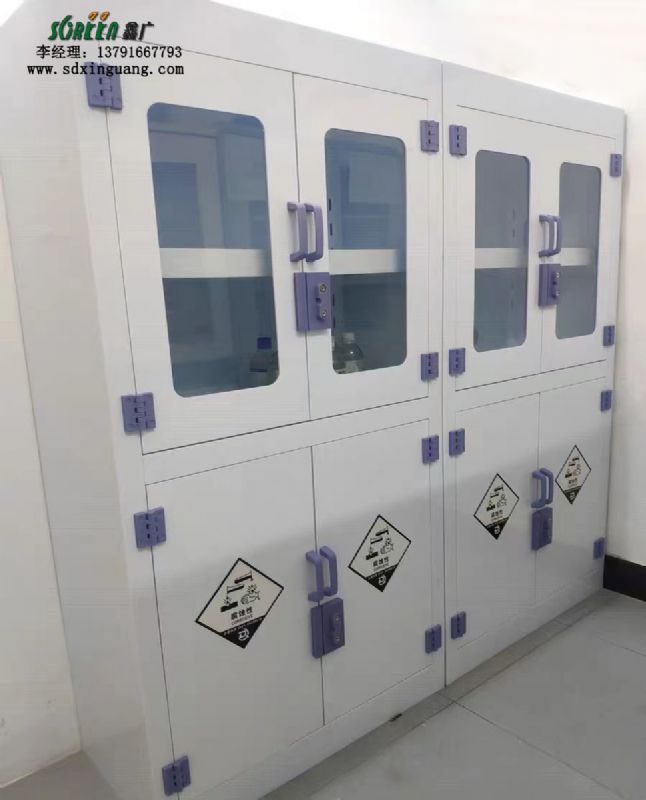 濰坊實驗室PP試劑柜藥品柜 化學品儲存柜
